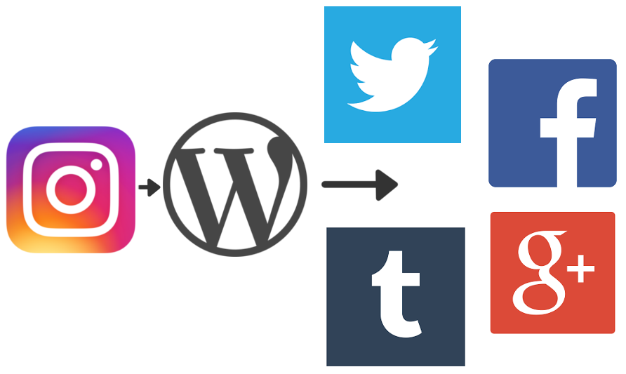 Social Media Workflow